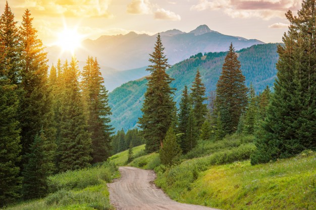 Nature as instagram filters by recurpost as best social media scheduler