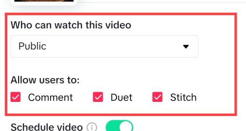 Customize interaction options like comments, duets and stitches while scheduling.